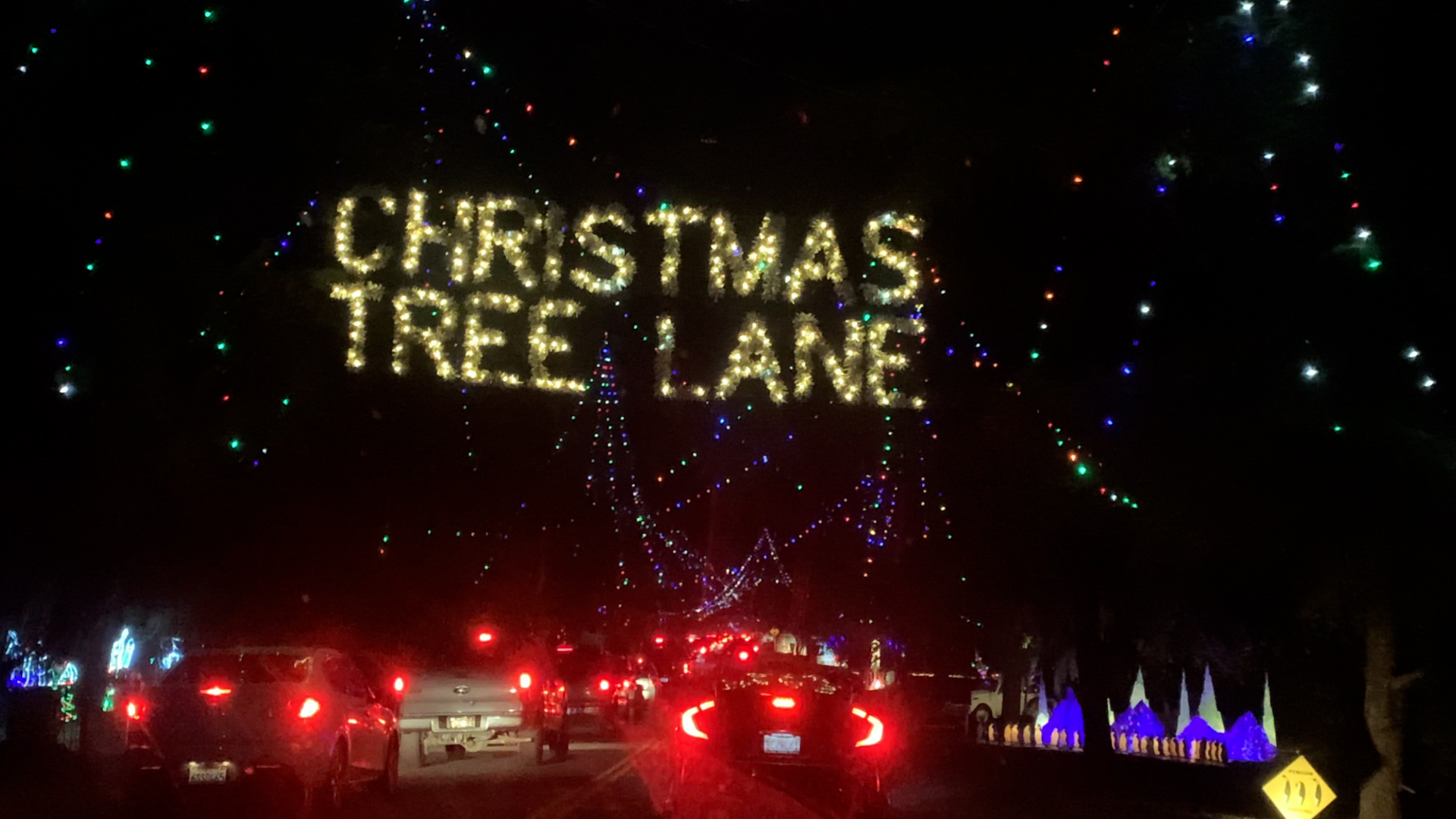 Christmas Tree Lane Opens